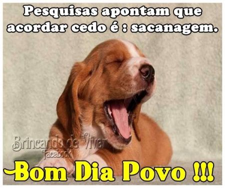 Bom dia