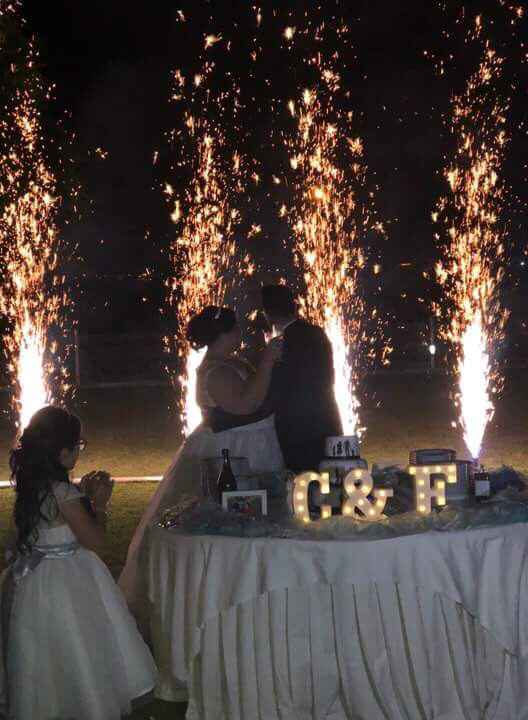 Fotografias do grande dia - 3