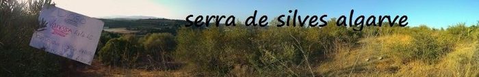 ajudar a vanessa 