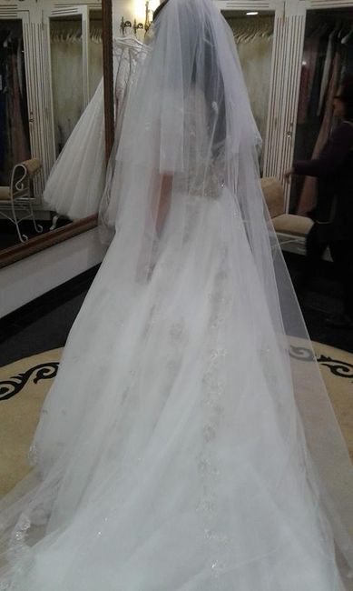 O meu vestido