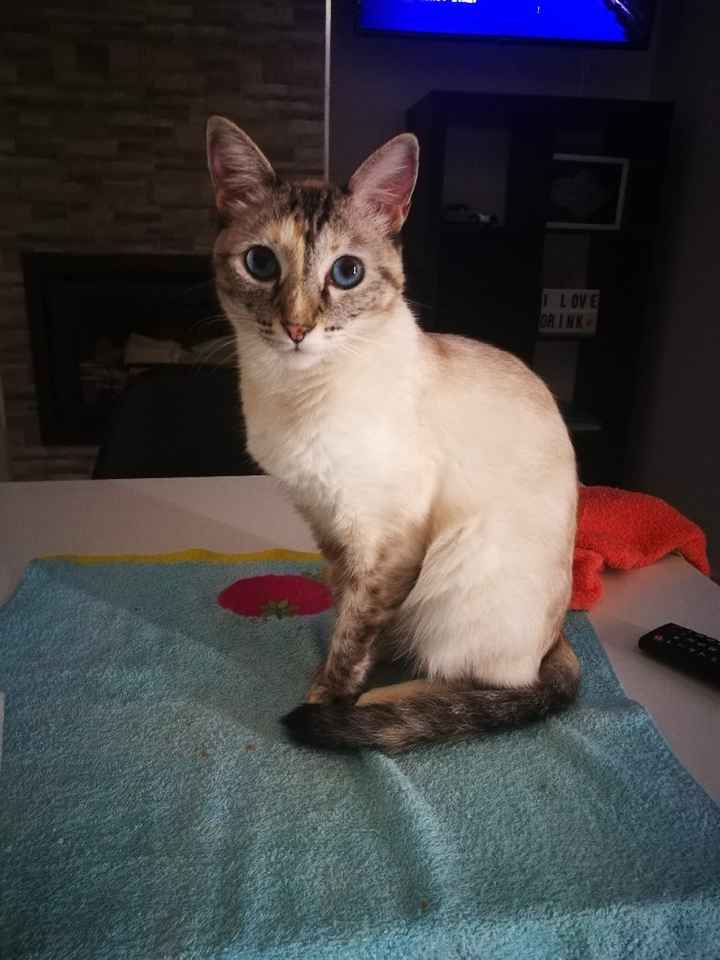 Um rosto novo pela Comunidade! 😍😍 - 1