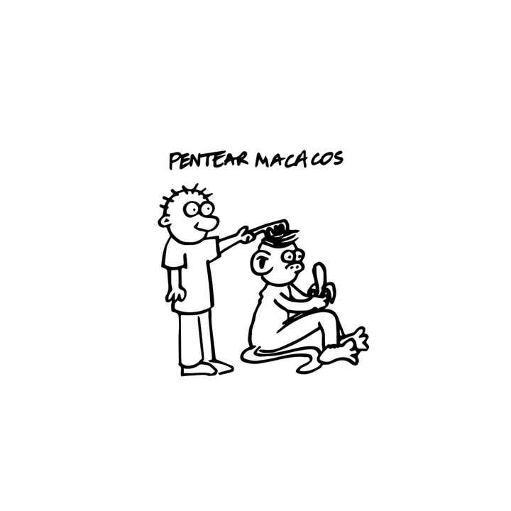 Ideias para a decoração e tema de mesas - Expressões portuguesas - 44