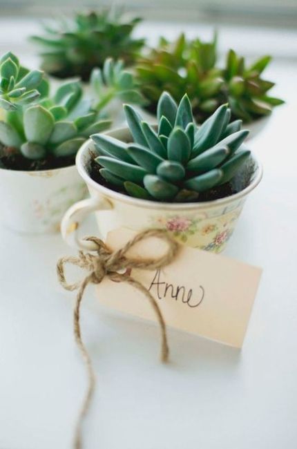 Inspirações com chávenas, canecas e bules