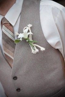 Inspirações com cordas
