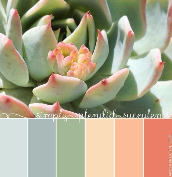 Inspirações em pêssego, menta e aqua