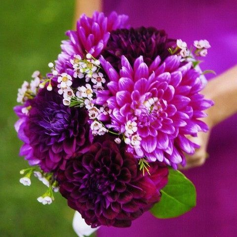 bouquet