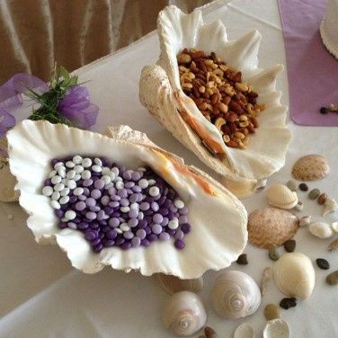 Inspirações com conchas e estrelas do mar