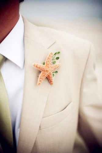 Inspirações com estrelas