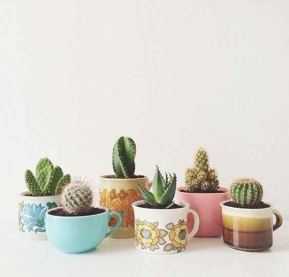 Inspirações com chávenas, canecas e bules