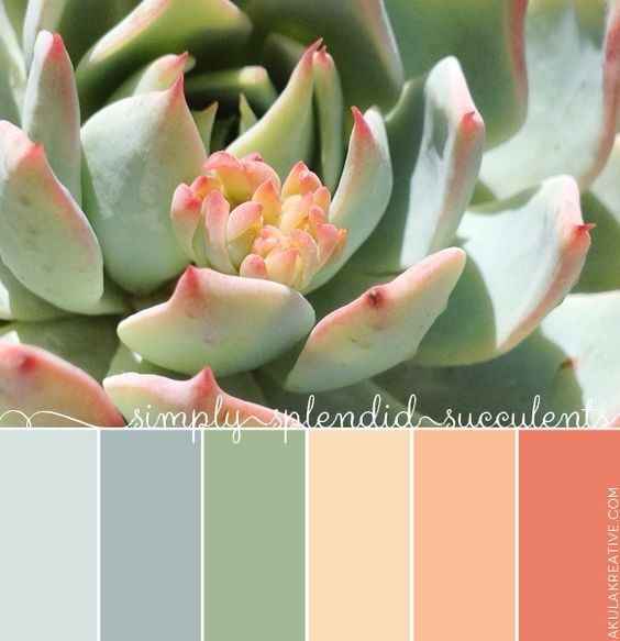 Inspirações em pêssego, menta e aqua