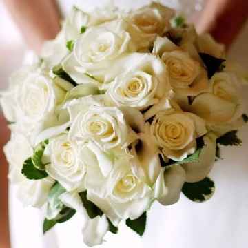 bouquet