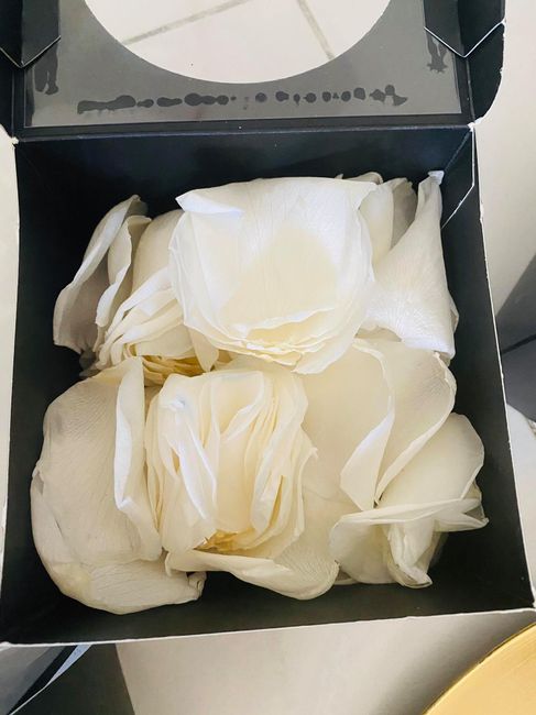 Check - Pétalas de rosas brancas preservadas 2