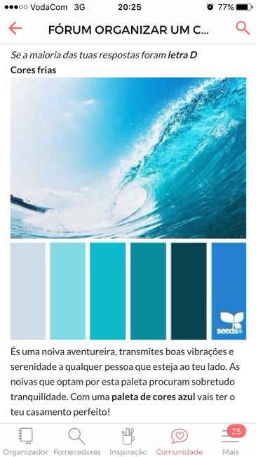 A cor do meu casamento e - 2