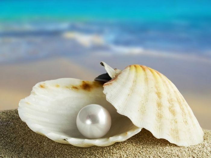 Escolhe a fotografia de capa da tua web premium! 2