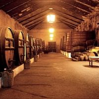 Guitarra portuguesa no aperitivo ou durante o jantar? - 2
