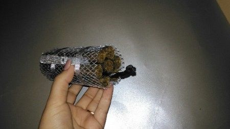 bomba 2
