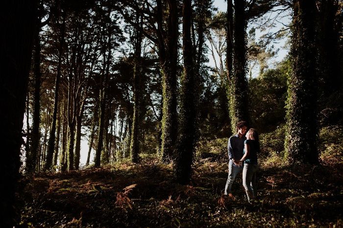bosque