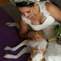 Já casei e foi um dia de sonho - 4