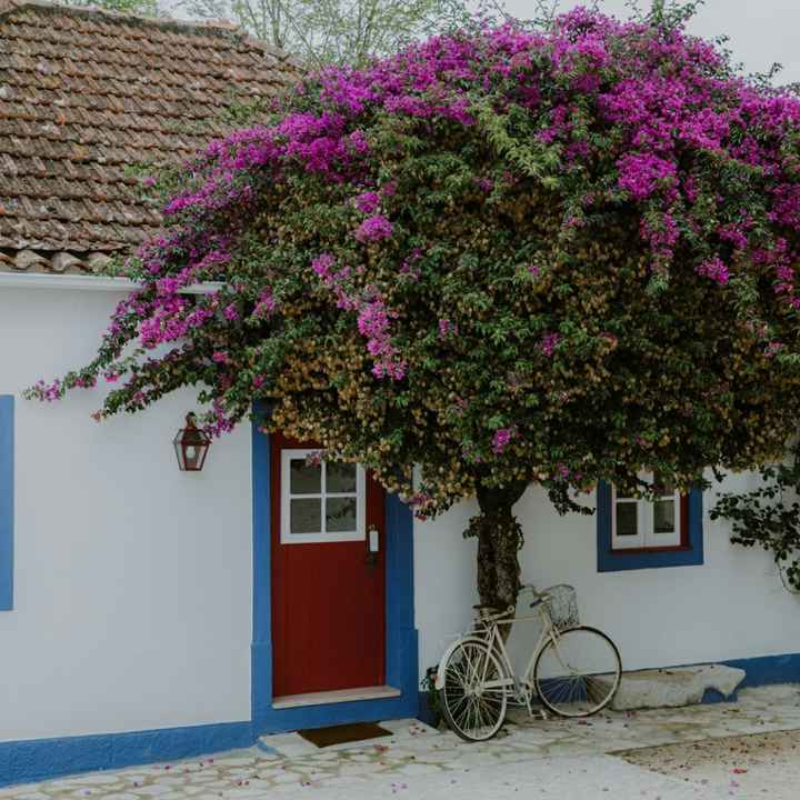 Casados há 51 dias ❤ - 4