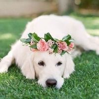 5. A Outra princesa do casamento