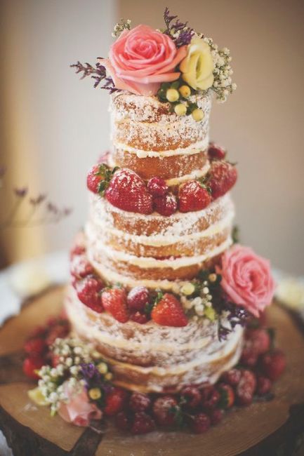 Naked Cake IV