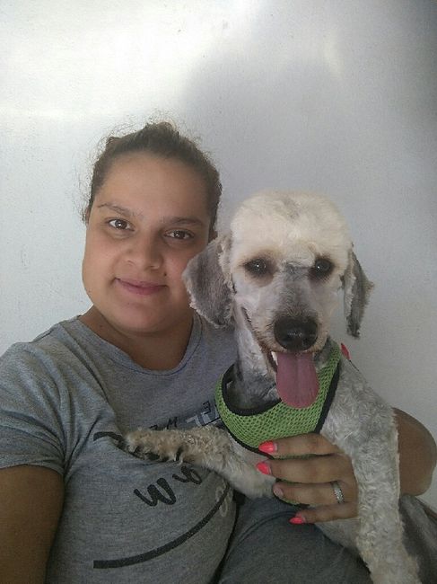 O teu amigo de 4 patas vai estar presente no casamento? - 1