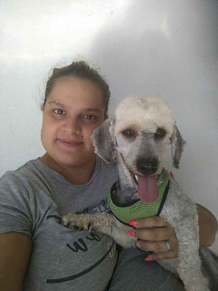 O teu amigo de 4 patas vai estar presente no casamento? - 1