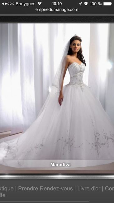 Meu vestido