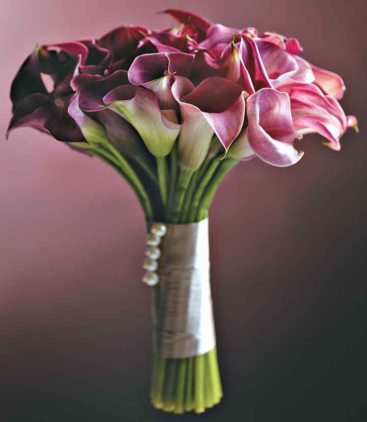 Flores - 2