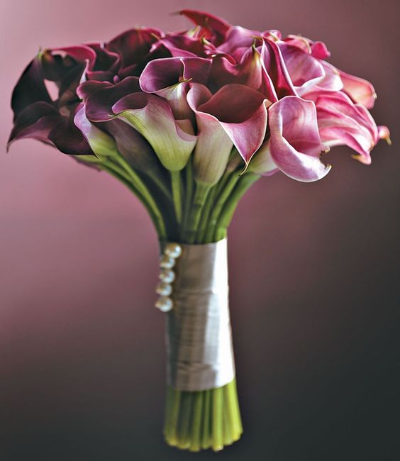 Flores - 2