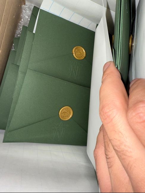 Convites - Concertina 🤍 2