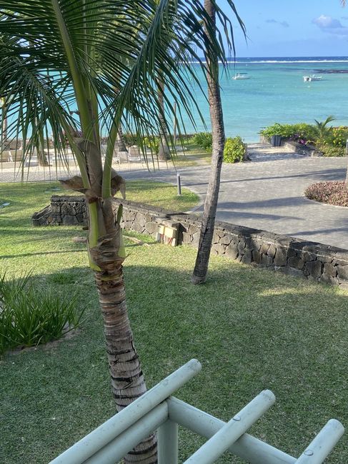 Lua de Mel- Mauricias - 1