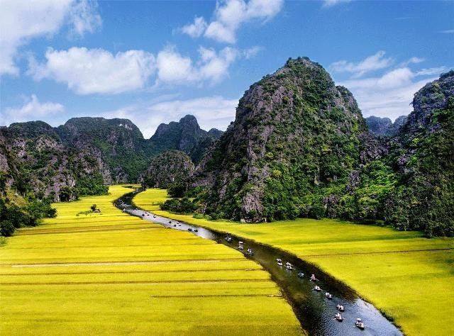 Campos Vietname