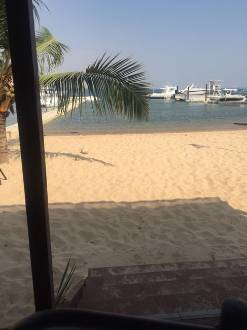 Decote de vestido versos cor - 1