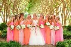 Damas 6