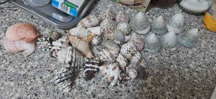 Decoração em geral - 10