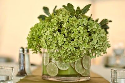 decoraçao limao