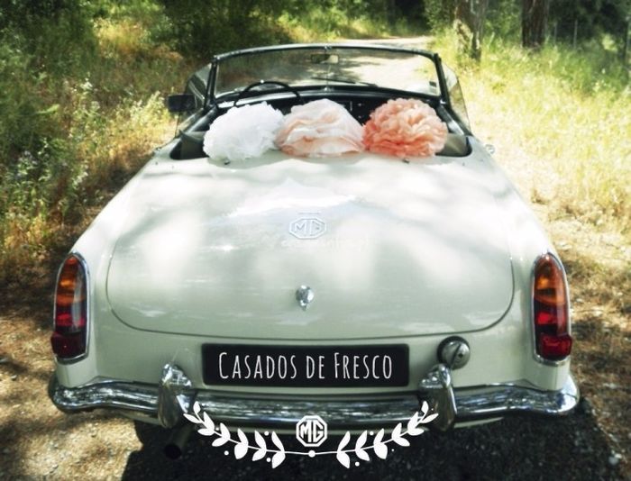 carro casados