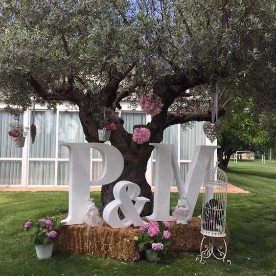 letras casamento