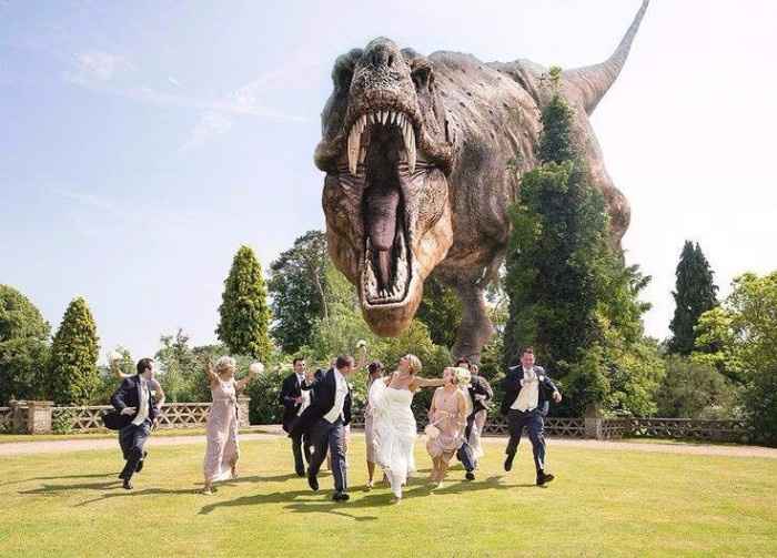 montagem casamento