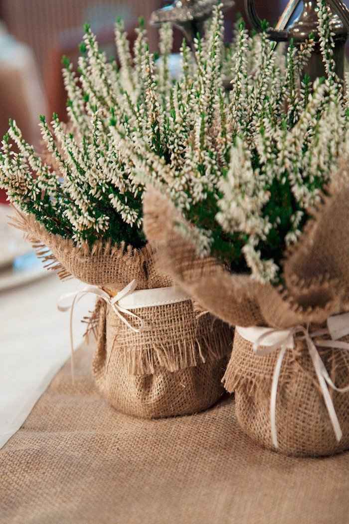 casamento campo