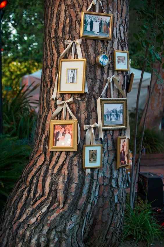 casamento campo