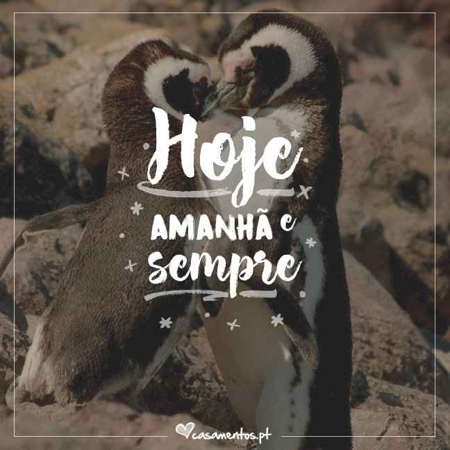 amor love