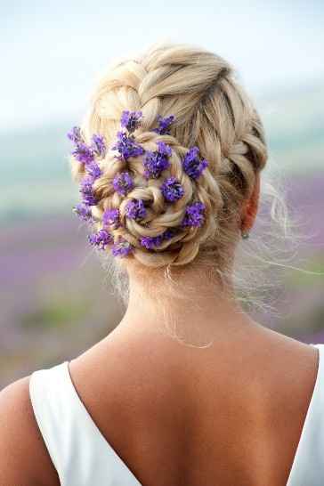 lavanda flor