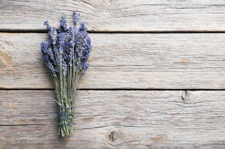 lavanda flor
