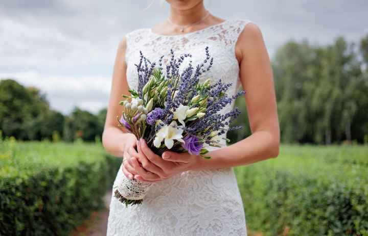 lavanda flor