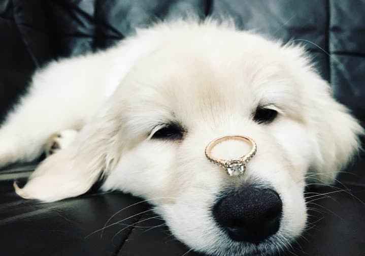 amor love