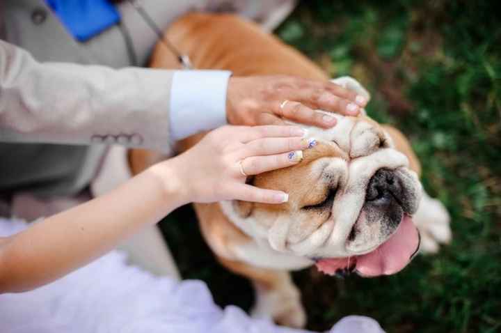 amor love