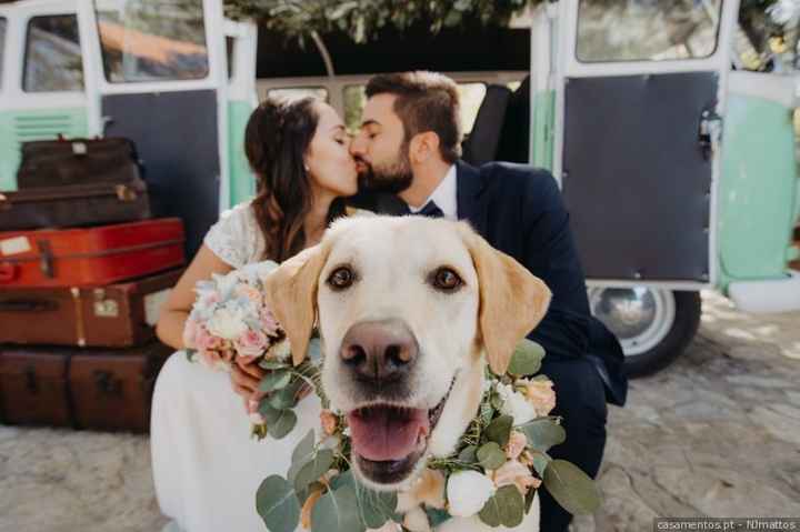 amor love