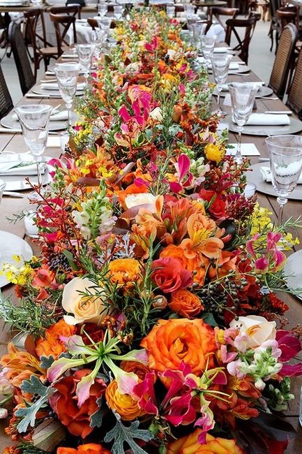casamento campo